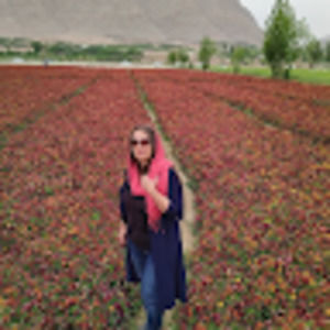 Meet your Posher, Anahita